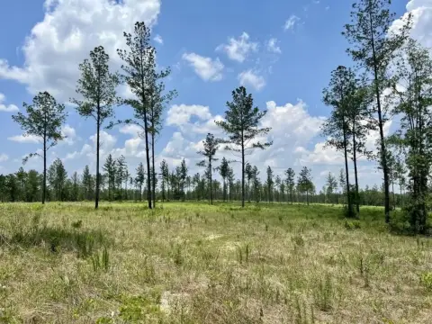 Robertsdale Land Near Interstate-10