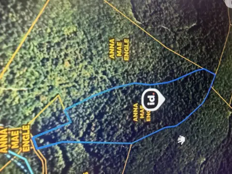 Hunting Land with Timber Regrowth