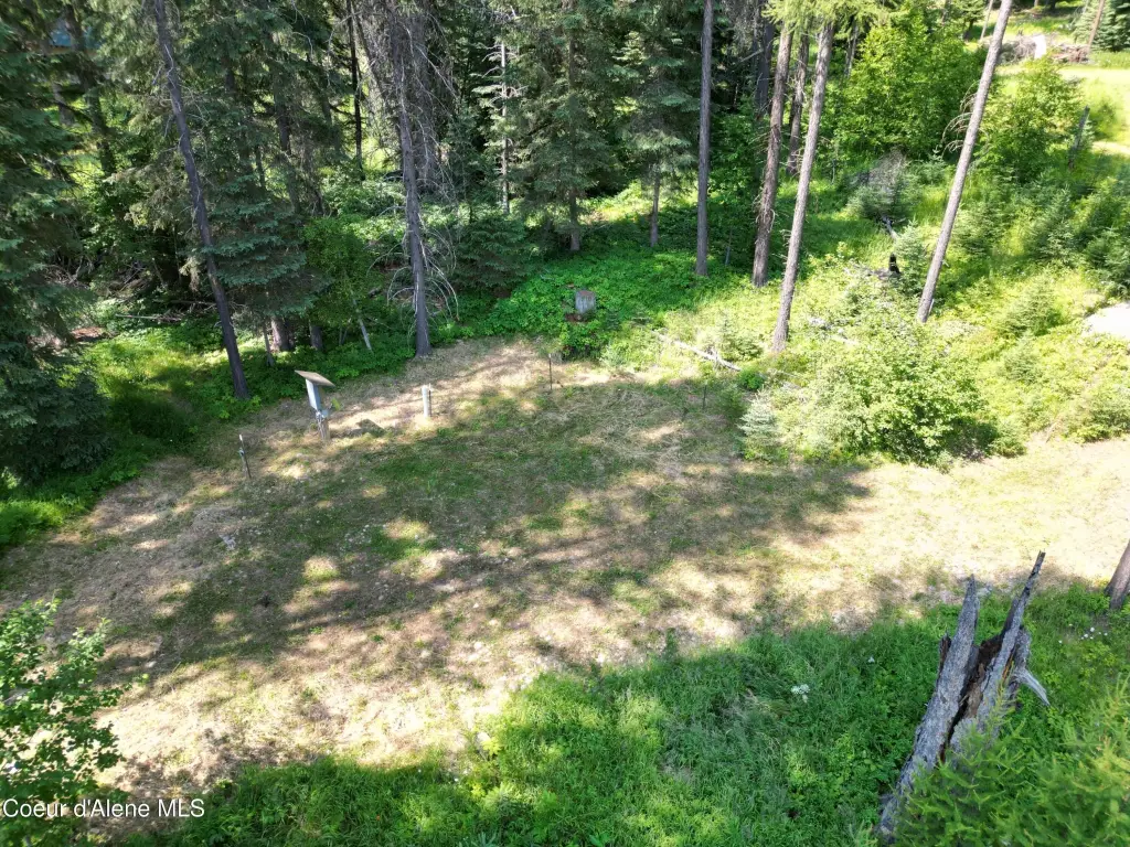 Picture 10
