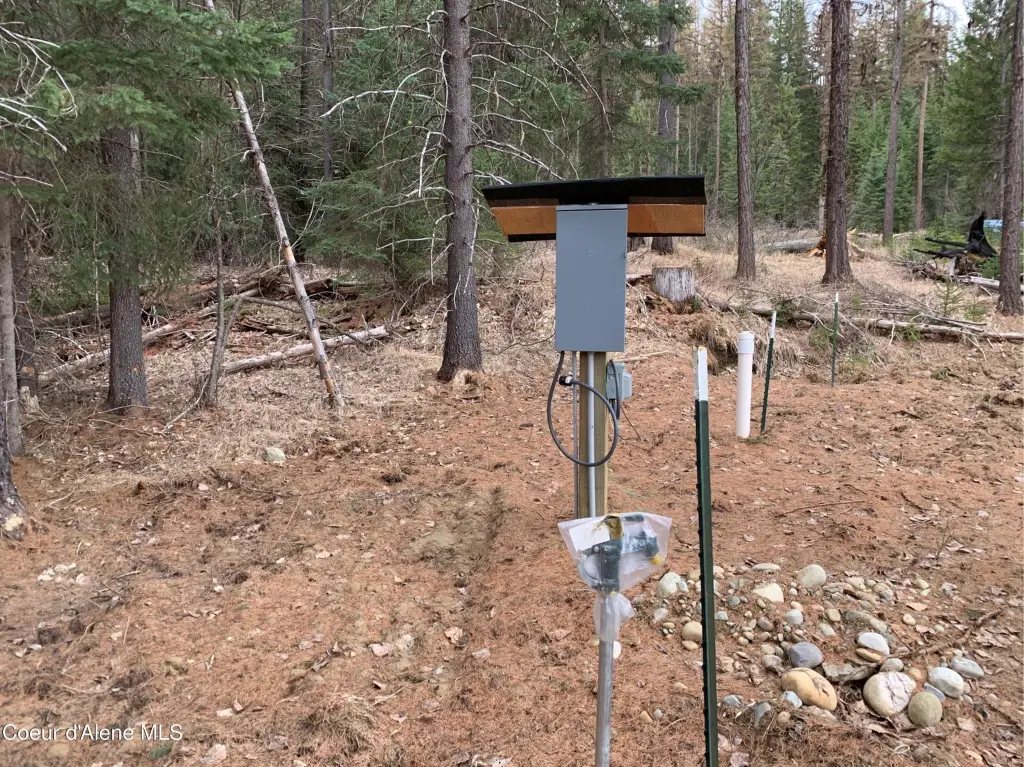 Picture 11