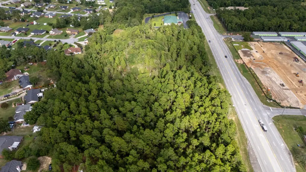 Picture 7