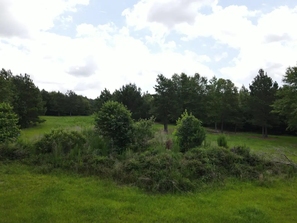 Picture 4