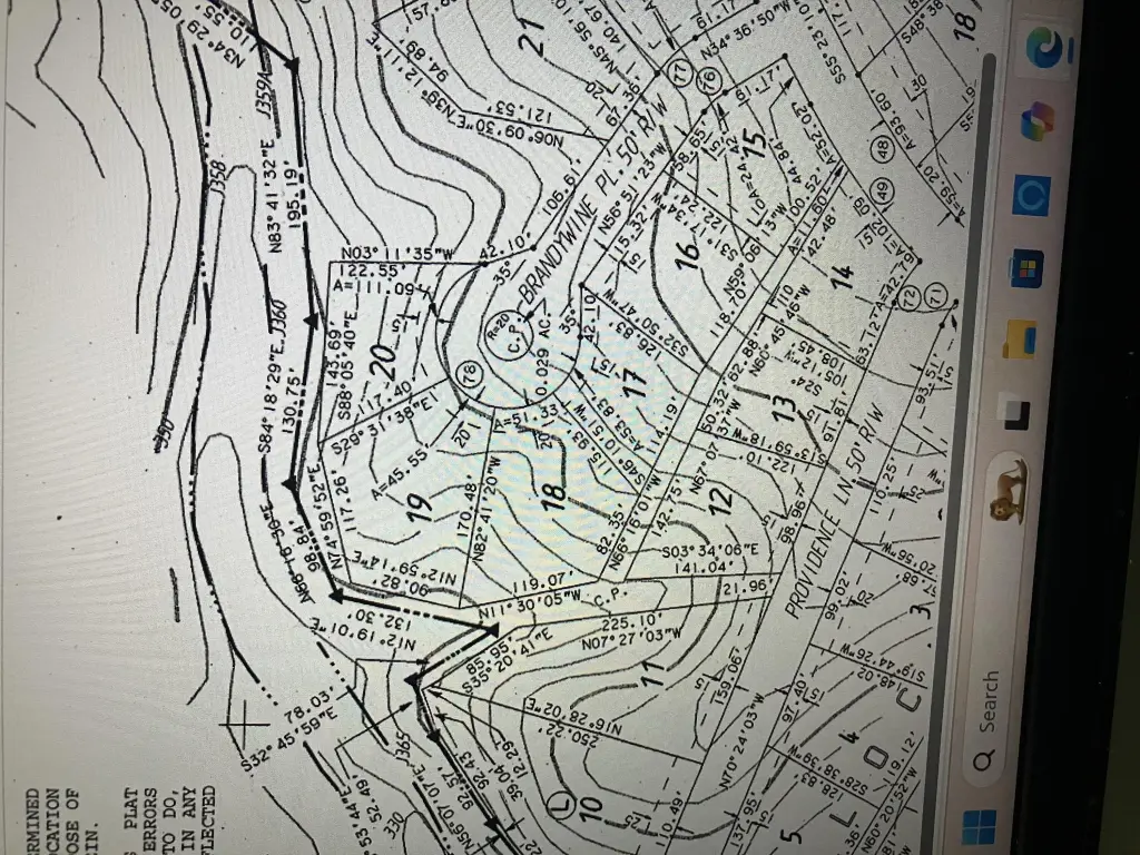 Picture 2