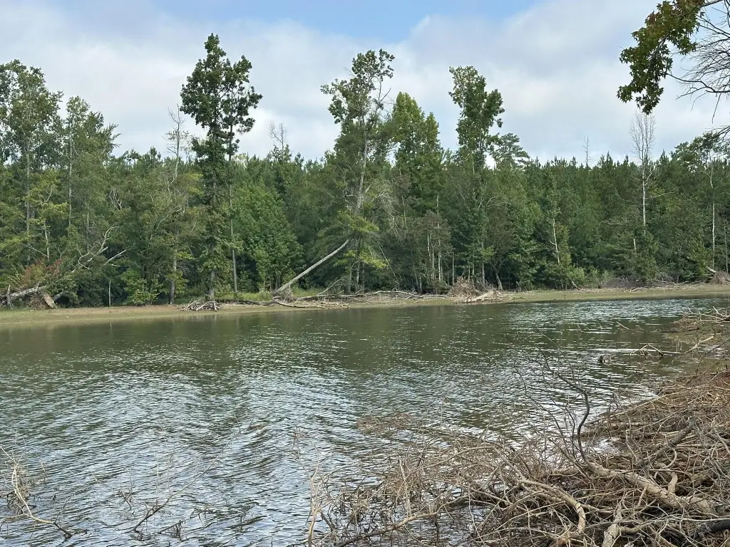 Picture 18