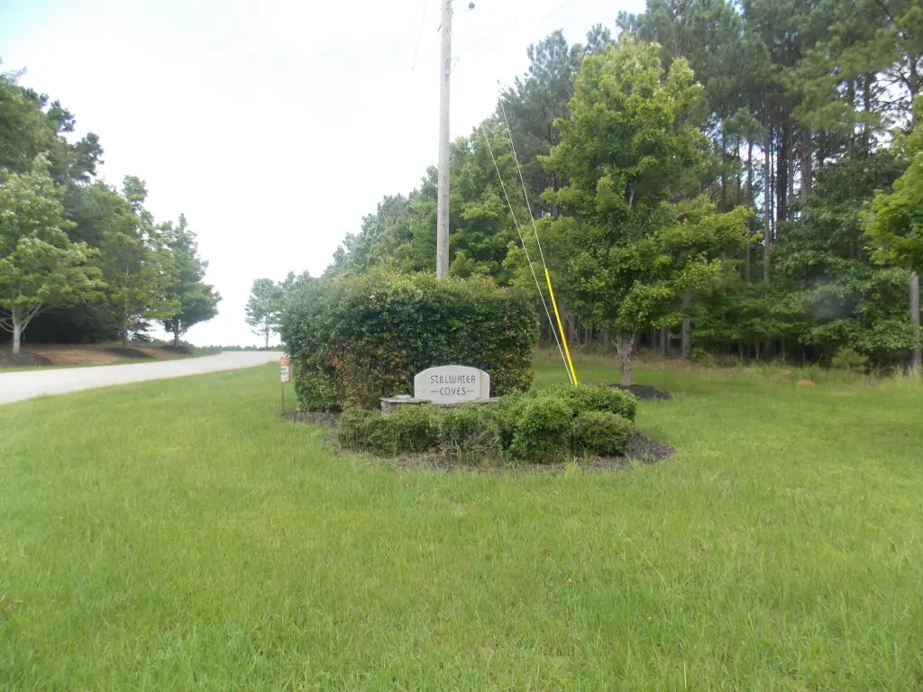 Picture 6