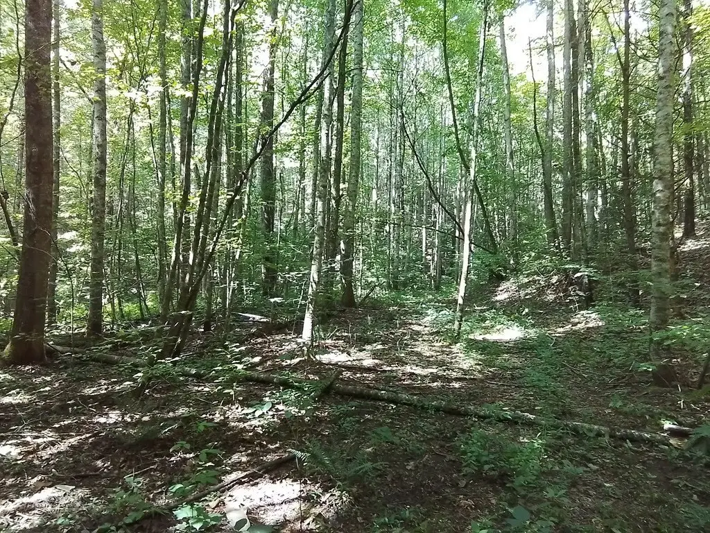 Picture 19