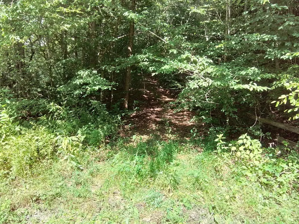 Picture 24
