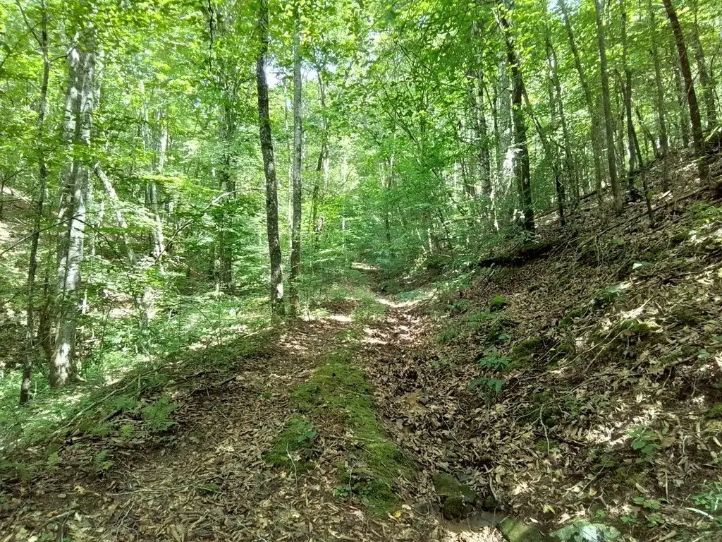 Picture 10