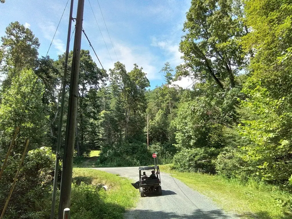 Picture 25