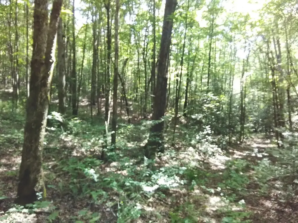 Picture 16