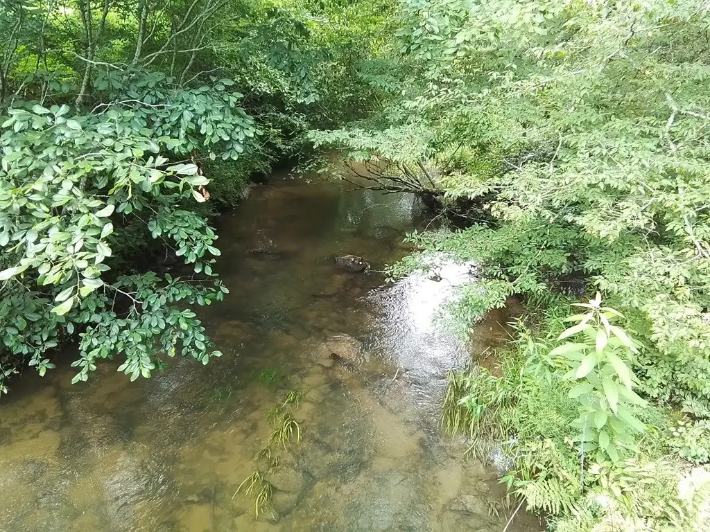 Picture 9