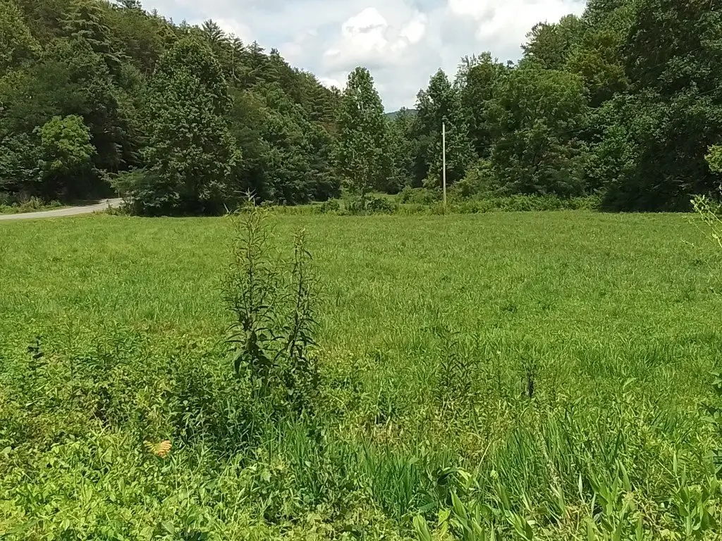 Picture 6