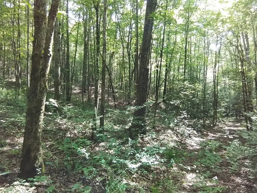 Picture 17