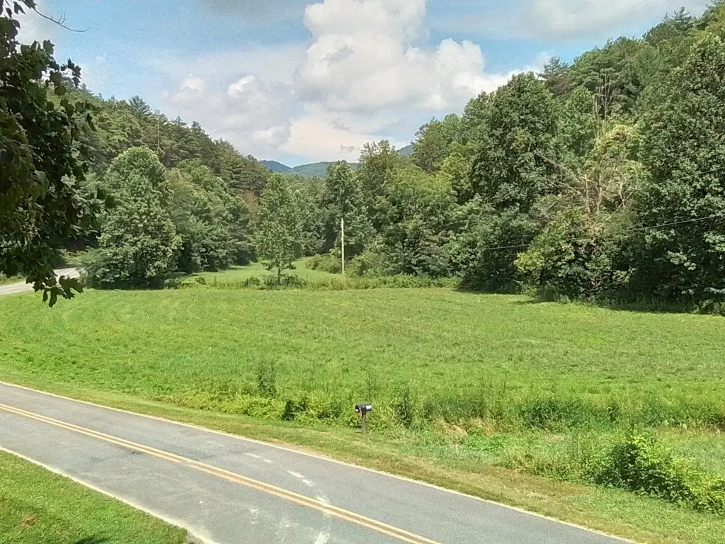 Picture 3