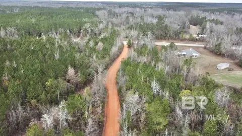 Unrestricted Land in Beatrice, Alabama