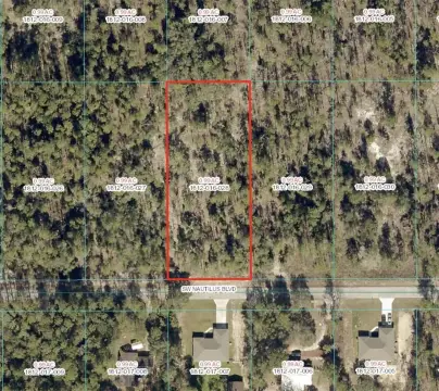 Residential Lot in Dunnellon, Florida