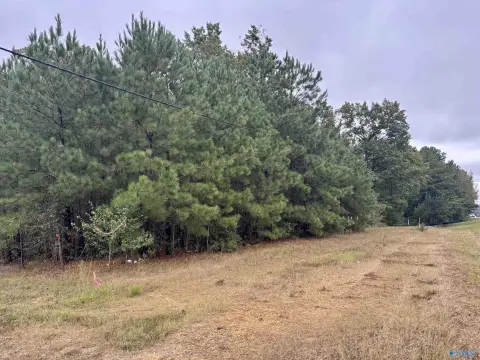Commercial Land on Highway 231