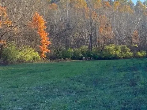 254 Acres Wildlife Mecca