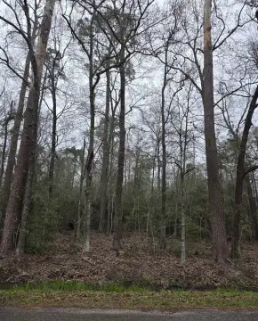 Undeveloped Land in Beaumont, TX