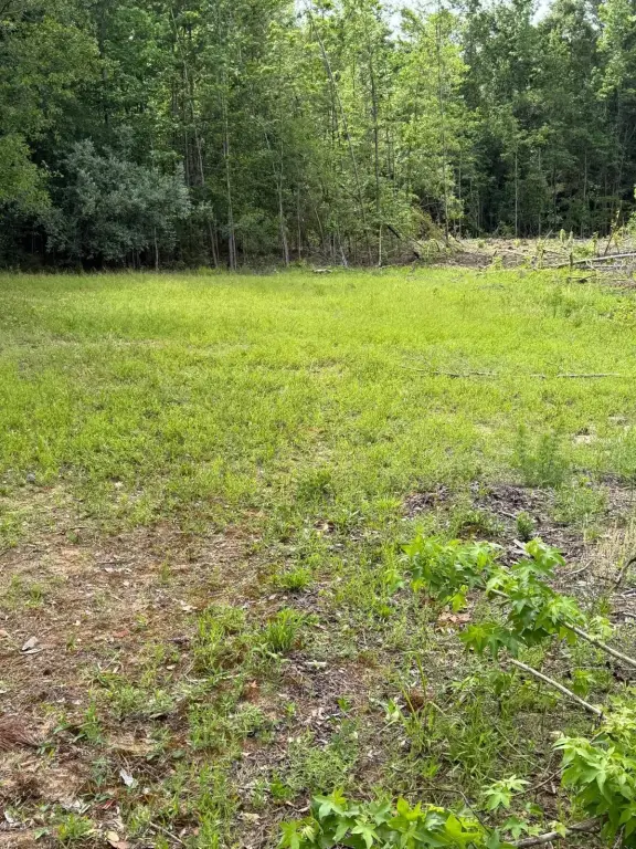 Picture 27