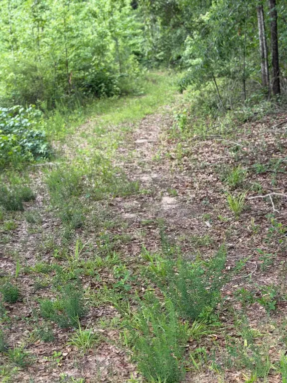 Picture 34