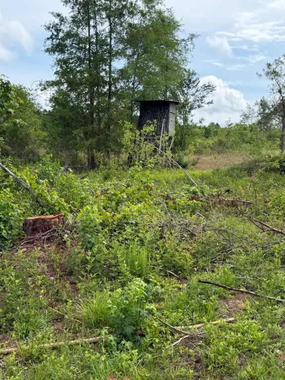 Picture 17
