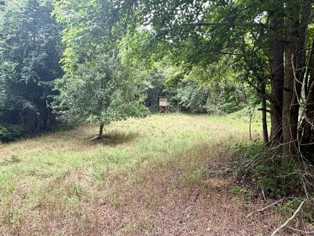 Picture 29