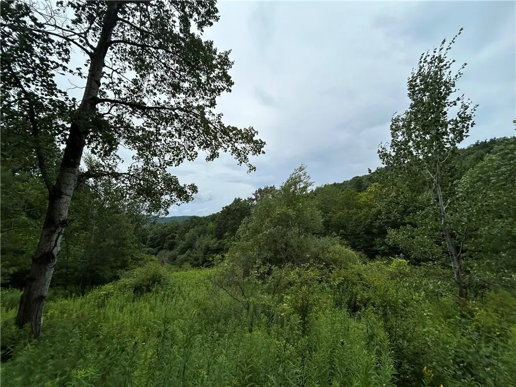Picture 8