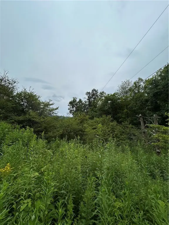 Picture 11