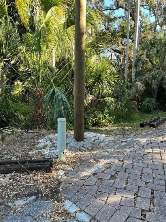 Picture 25