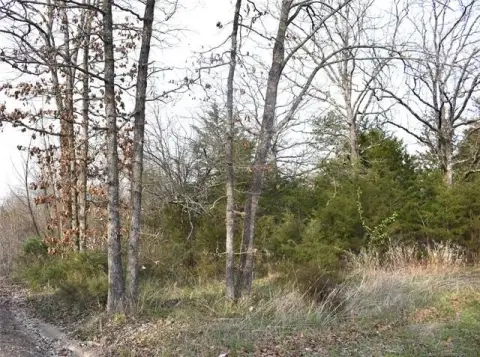 Vacant Land in Rattan, OK