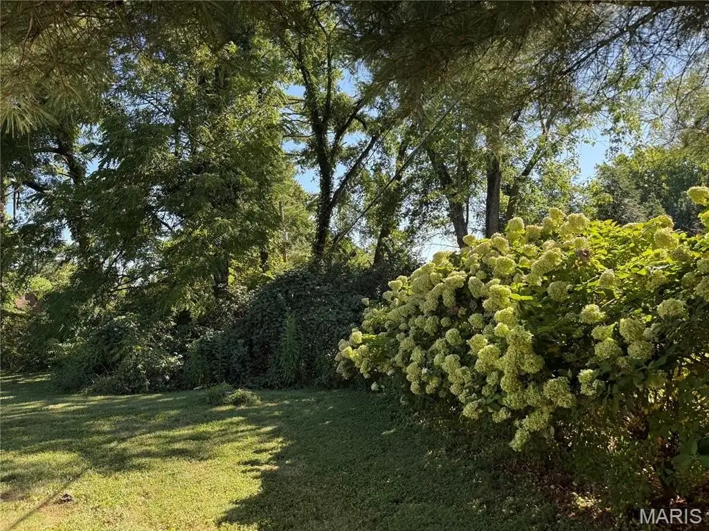 Picture 25