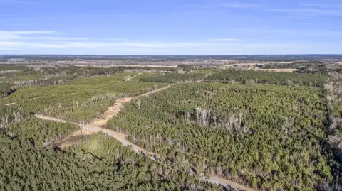 105 Acres Land in Louisville, MS