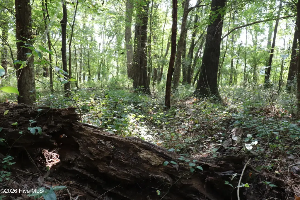 Picture 13