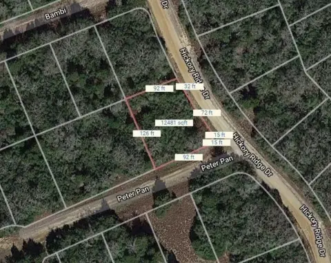 Resort Land in Hilltop Lakes