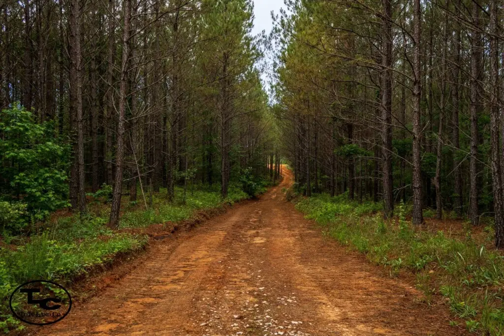 Picture 47