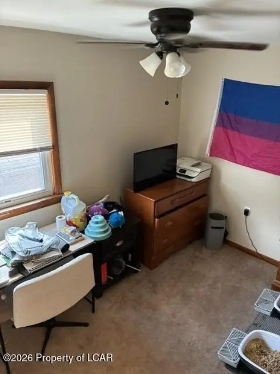 Picture 42