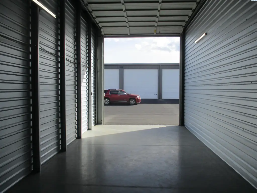 Picture 5