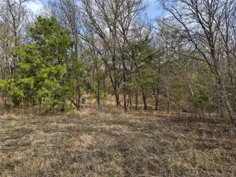 3.02 Acres in Palmer, TX