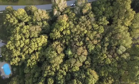 Wooded Land in Putnam, CT