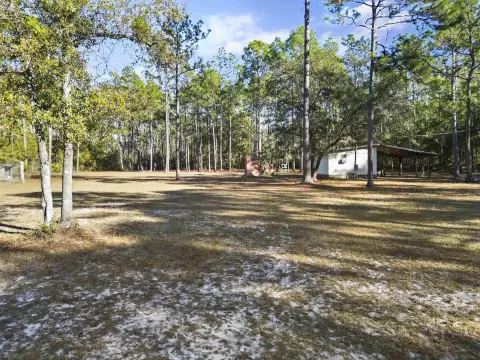 Apalachicola Forest Outdoor Retreat