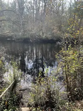 Riverfront Land with Pond