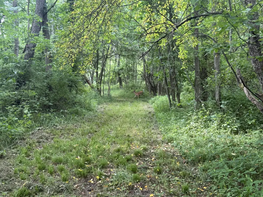 Picture 32
