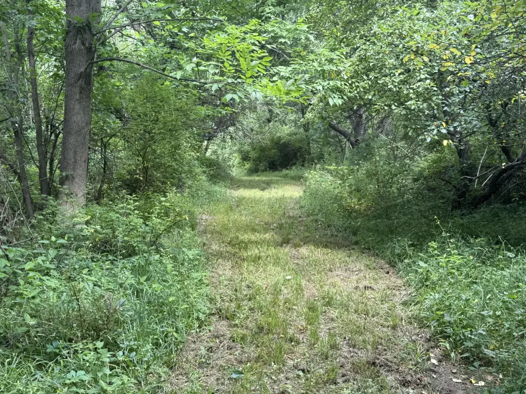 Picture 33