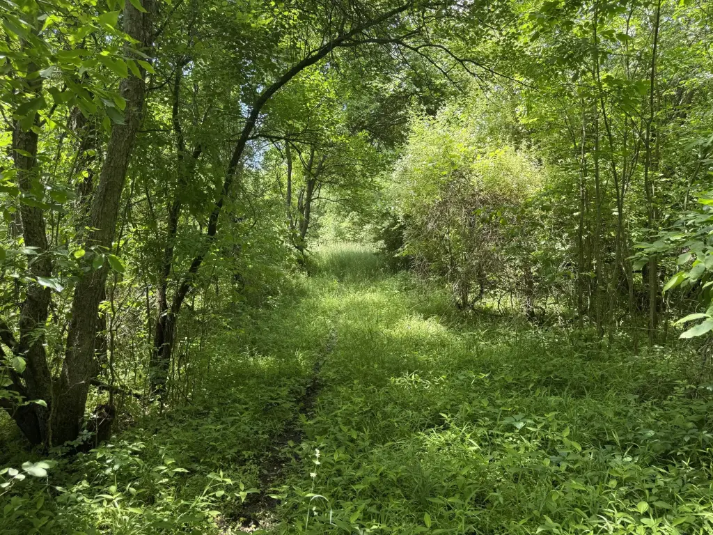 Picture 20