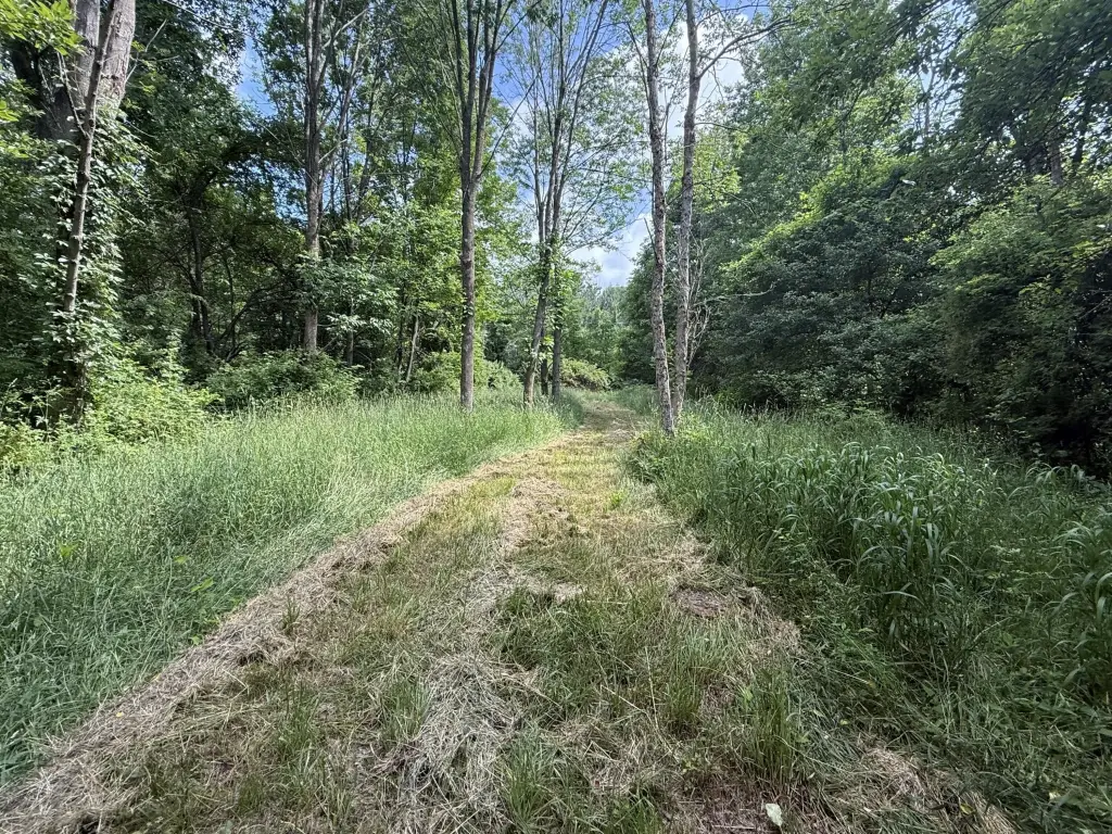 Picture 27