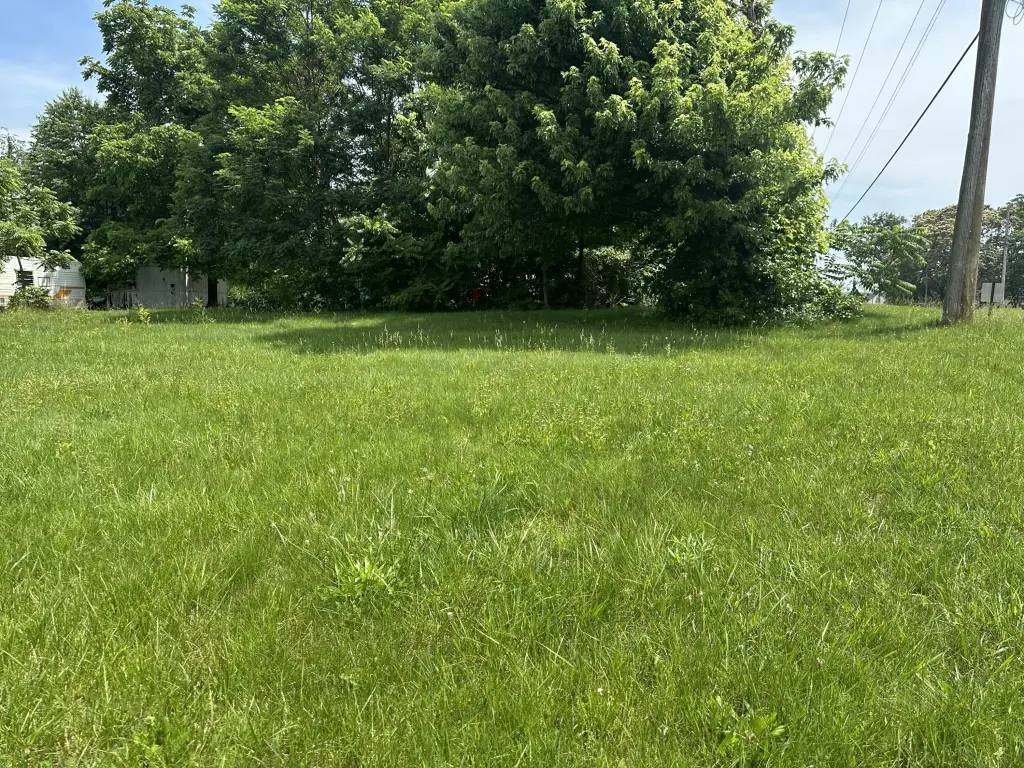 Picture 5