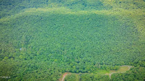 Unrestricted Hunting Land Tract