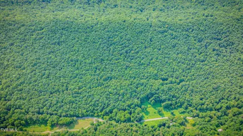 Unrestricted Hunting Land Tract
