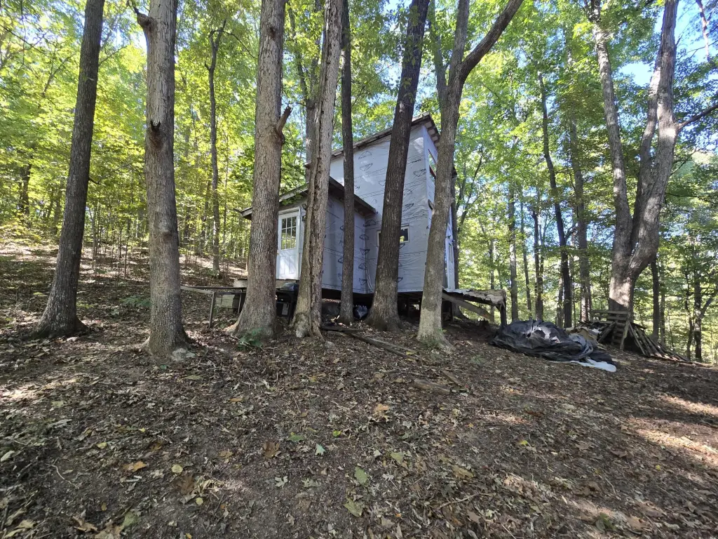 Picture 5